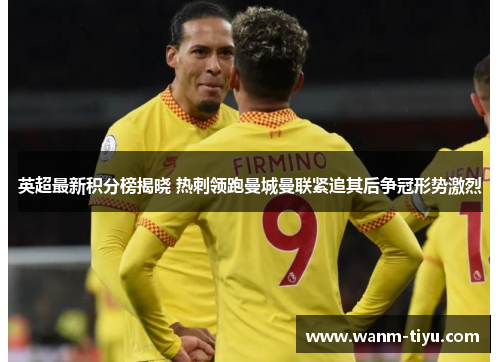 英超最新积分榜揭晓 热刺领跑曼城曼联紧追其后争冠形势激烈