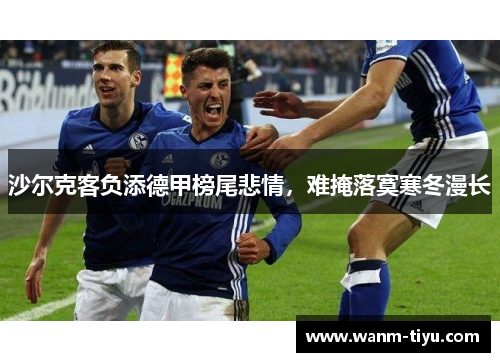 沙尔克客负添德甲榜尾悲情，难掩落寞寒冬漫长